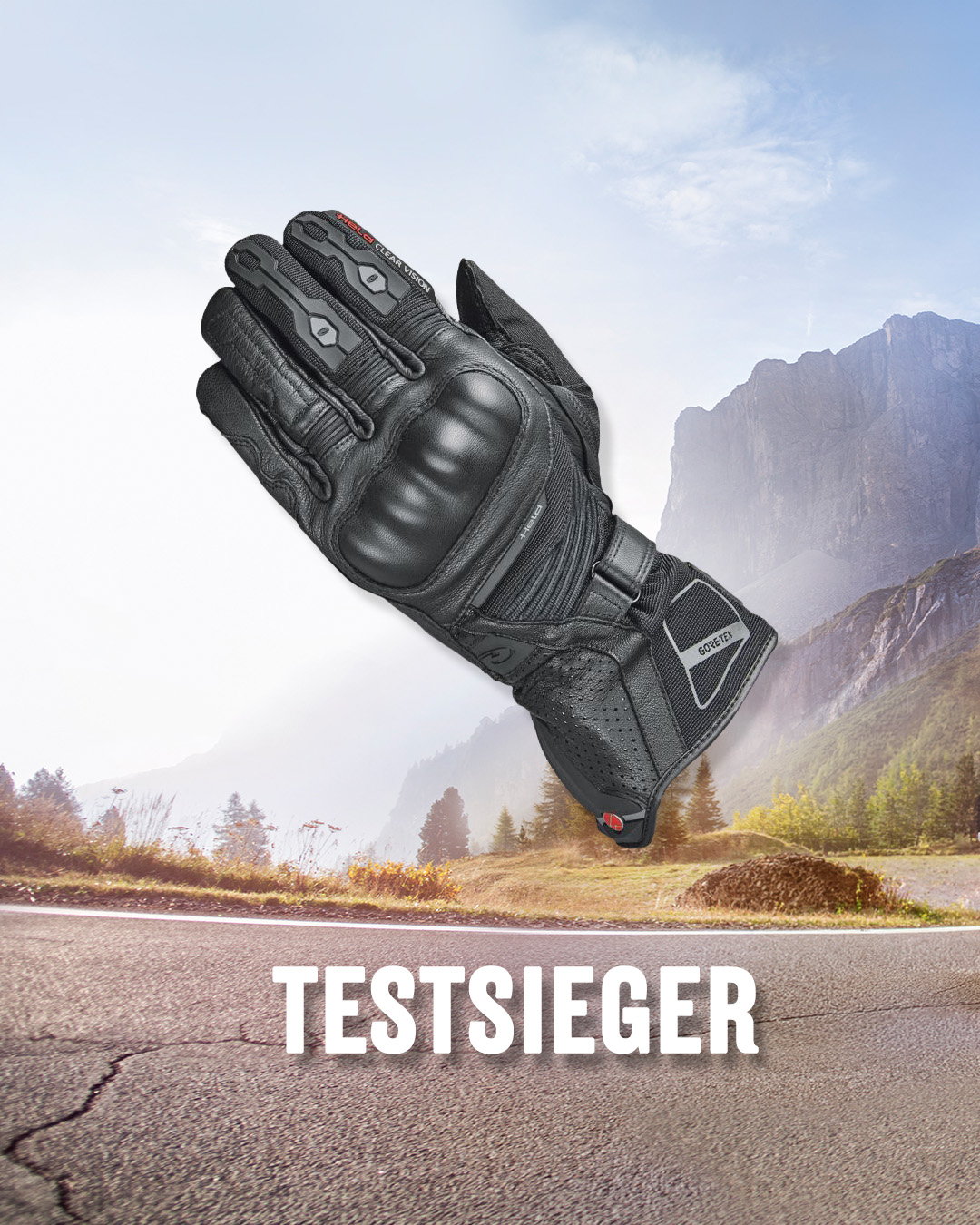 mob_testsieg_score